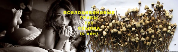 амф Новокубанск