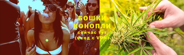 амф Новокубанск