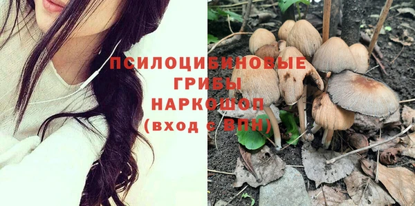 mix Новозыбков