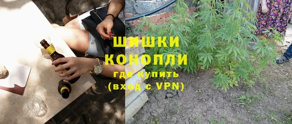 амф Новокубанск