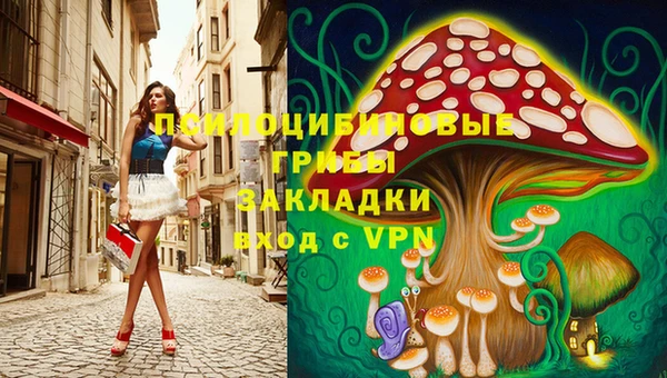 марки lsd Новодвинск