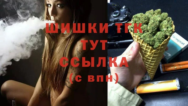 амф Новокубанск