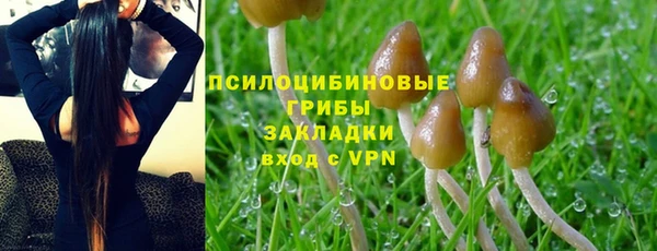 mix Новозыбков
