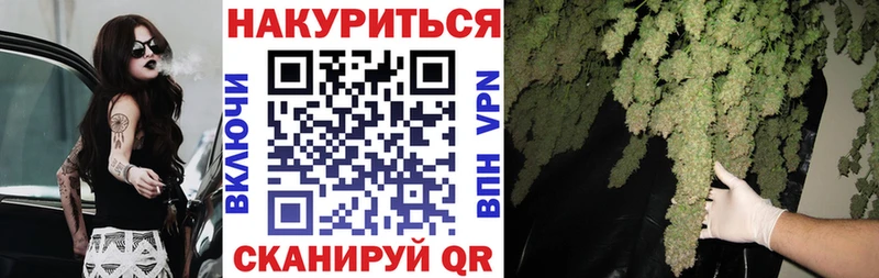 Канабис OG Kush  Купить где  Томмот 